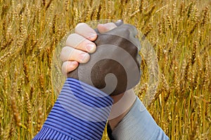 Close up photo of a handshake between afroamerican and european hands inside of wheat field. Handshake is in front of wheat field