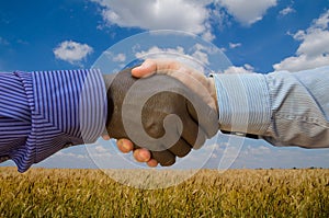 Close up photo of a handshake between afroamerican and european hands inside of wheat field. Handshake is in front of wheat field