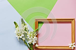 Close up photo for Happy Mother`s Day on the Pastel Candy Colours Background.