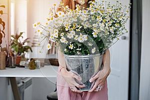 Close-up photo, she is holding a bucket of field daisies