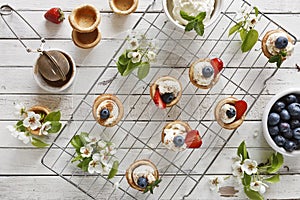 Close-up photo of homemade cakes with mascarpone cheese, cinnamon, strawberries, blueberries and beautiful wild apple tree floweri