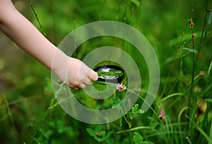Close-up photo of kid exploring nature with magnifying glass