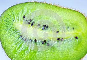 Close up photo of kiwi on white background. Kiwi fruit cut in half with seeds inside, macro view