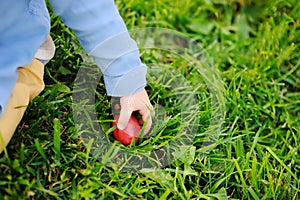 Close-up photo of little boy hunting for easter egg in spring park on Easter day