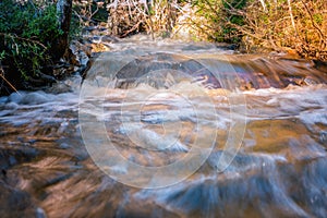 Close up photo of melted snow water in forest creek runs through Scandinavian forest. Vey Sunny spring day. Long exposure for