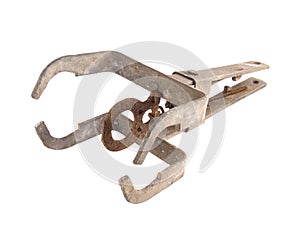 Close up photo of a mole trap on a white background