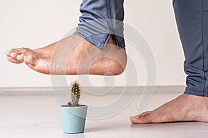 Close up photo of moment foot stepping on cactus plant as a symbol of common human foot problems