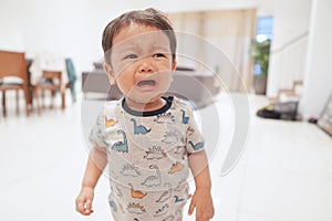 Close-up photo of an 18 months old boy having a meltdown and crying inconsolably. photo