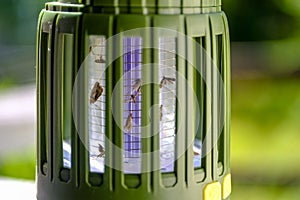 Close up photo of mosquito killing lamp