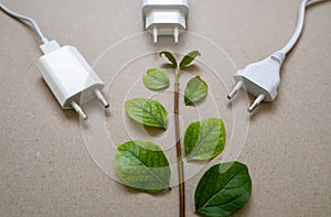 Close up photo of multiple unplugged charging sockets and green leaves.