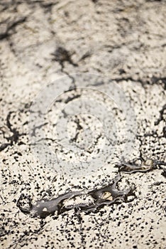 Close-up photo of natural white and black antique stone wall