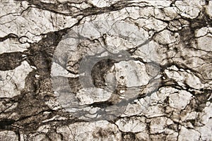 Close-up photo of natural white and black antique stone wall