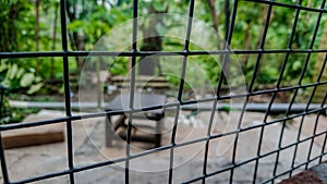Close-up photo of neatly arranged wires in a square shape photo