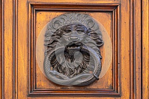 Old door with lion head door knob. photo