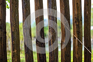 Close up photo - old wooden fence posts poles, with blurred spring country and river in background.