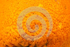 Close up photo of orange peel texture. Oranges ripe fruit background, macro view. .Human skin problem concept, acne and cellulite