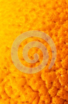 Close up photo of orange peel texture. Oranges ripe fruit background, macro view..Human skin problem concept, acne and cellulite.