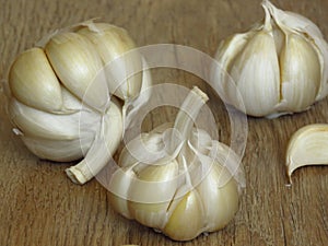 Close up Photo of Organic Whole Garlic with some Unpeeled Cloves and a clove of garlic on oak tree wood background.