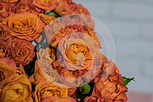 Close-up photo of a part of huge bouquet of roses, against white brick wall background.