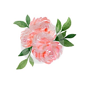Pink rose flower bouquet isolated on white, watercolor floral decoration, rose floral design for valentines day or mother day