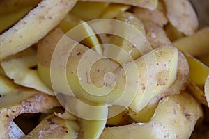 Close up photo of potato peelings