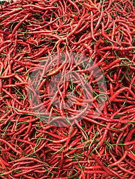 Close up photo red hot chilli ingredient for spicy food