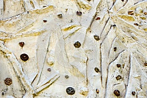 Close up photo of a rock climbing wall