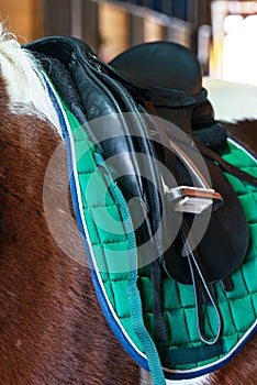 Close up photo of a saddled horse