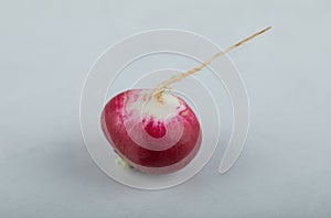 Close up photo of single radish on white background