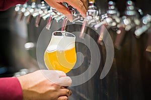 Close up photo of some beer taps and a man serving