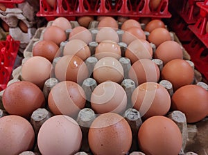 Close up photo of some fresh chicken eggs at the market.