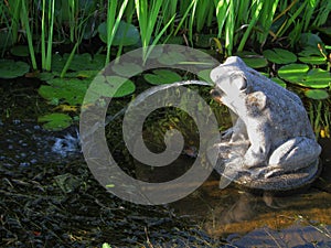 Frog stone in the pond photo