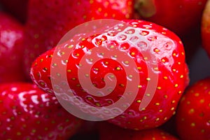 Close-up photo of strawberries and blurred background