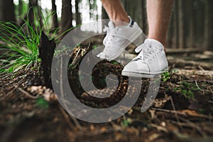 Close up photo of stylish white sneakers on the mountain fir forest background. Stylish closeup photo of fashionable sneakers on