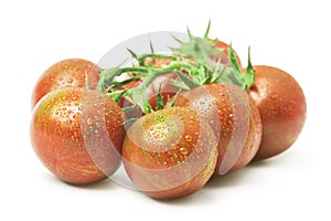 Close-up photo of tomatoes with water drops