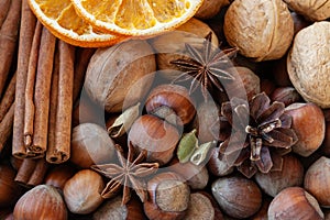 Close up photo of walnuts, hazelnuts, cinnamon barks