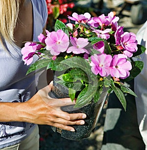 Close up photo of Woman Holding Flowers