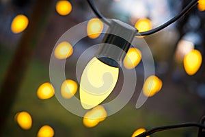 Close up Photograph of a Christmas Light with out of focus Lights in the Background