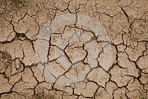 Close-up photograph of cracked earth underfoot. Natural Wallpaper, Texture, Pattern, Background.