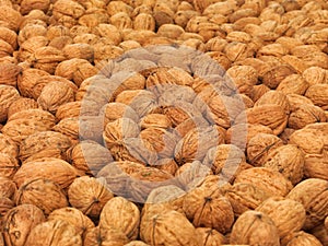 Close up photograph of hundreds of real walnuts.