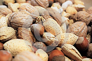 Mixed nuts in shell