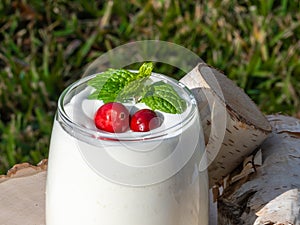 Close-up photograph of a White Dreamy creamy Blended Drink with Cranberries and Mint leaves