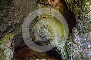 Inside view of moss covered cave cavities. Entrance to the copper cave in Santamaria de los Redondos, a town in Palencia photo