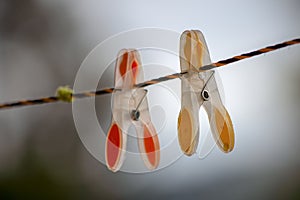 Close-up photography of two plastic clip clothes hangers