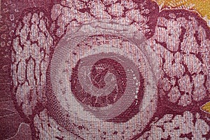 Close-up photos of 10 ringgit banknotes