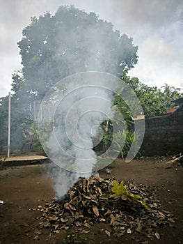 Close up photos burn dry fallen leaves that produce thick smoke.