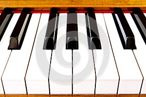 Close-up of piano keys