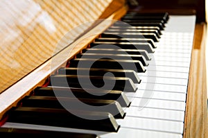 Close-up of piano keys