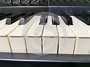 Close-up of piano keys. close frontal view