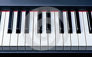 Close-up of piano keys. close frontal view